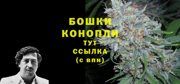 гидра Алексеевка