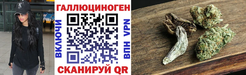 Галлюциногенные грибы Psilocybe Беслан